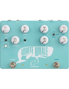 Crazy Tube Circuits White Whale II 