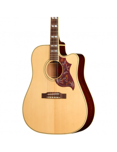 Epiphone Hummingbird Standard Natural Epiphone Hummingbird Standard Natural