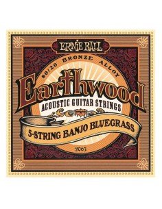 Ernie Ball 2063 Earthwood Banjo 