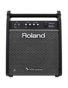 Roland PM-100 